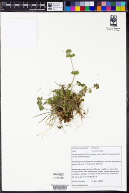 Image Associated With the Occurence
