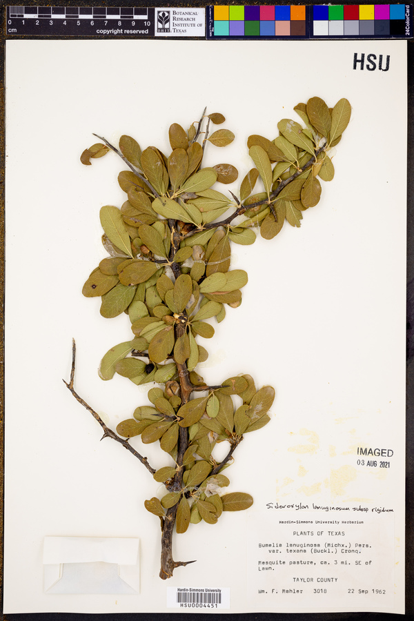 Portal Network Detailed Collection Record Information