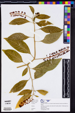 Image Associated With the Occurence