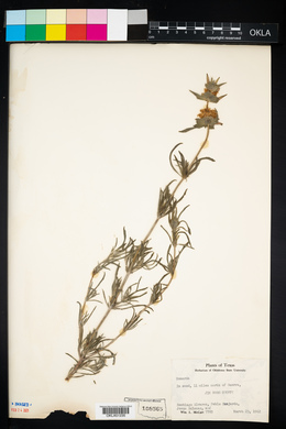 Image Associated With the Occurence