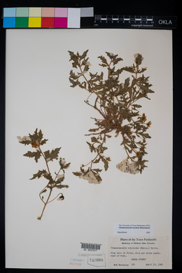 Image Associated With the Occurence